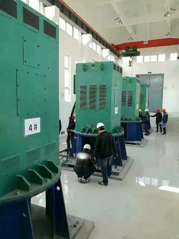 YRKK4002-4某污水处理厂使用我厂的立式高压电机安装现场