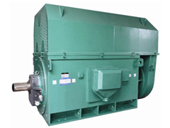 YRKK4002-4YKK系列高压电机