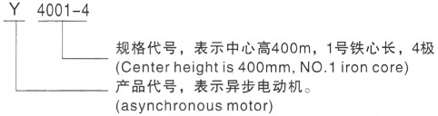 西安泰富西玛Y系列(H355-1000)高压YRKK4002-4三相异步电机型号说明