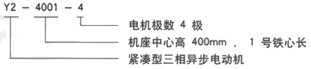 YR系列(H355-1000)高压YRKK4002-4三相异步电机西安西玛电机型号说明